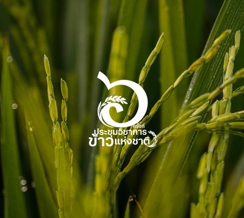 ประชุมวิชาการข้าวแห่งชาติ ครั้งที่ 6
