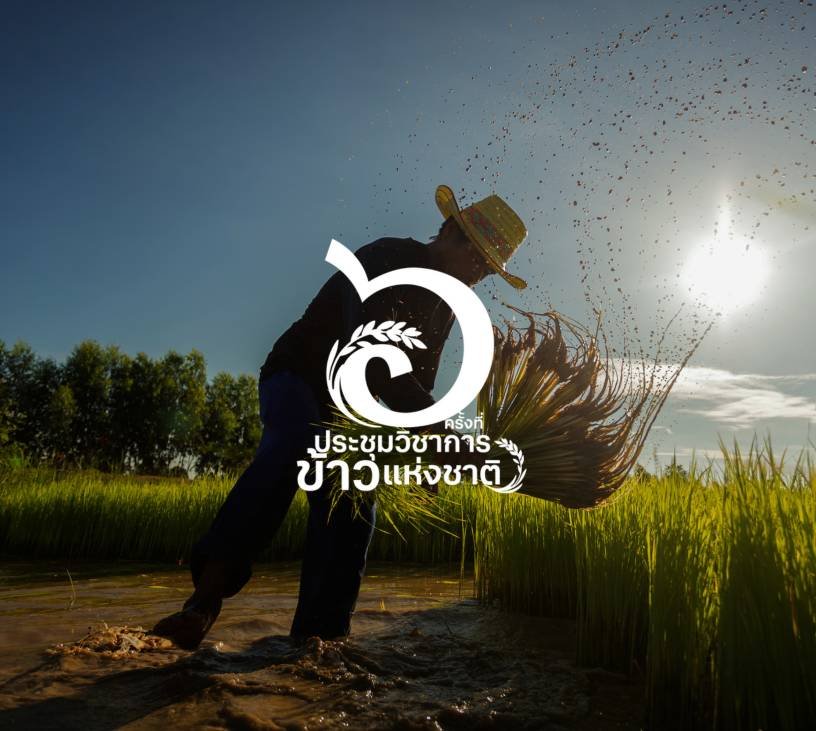 ประชุมวิชาการข้าวแห่งชาติ ครั้งที่ 6